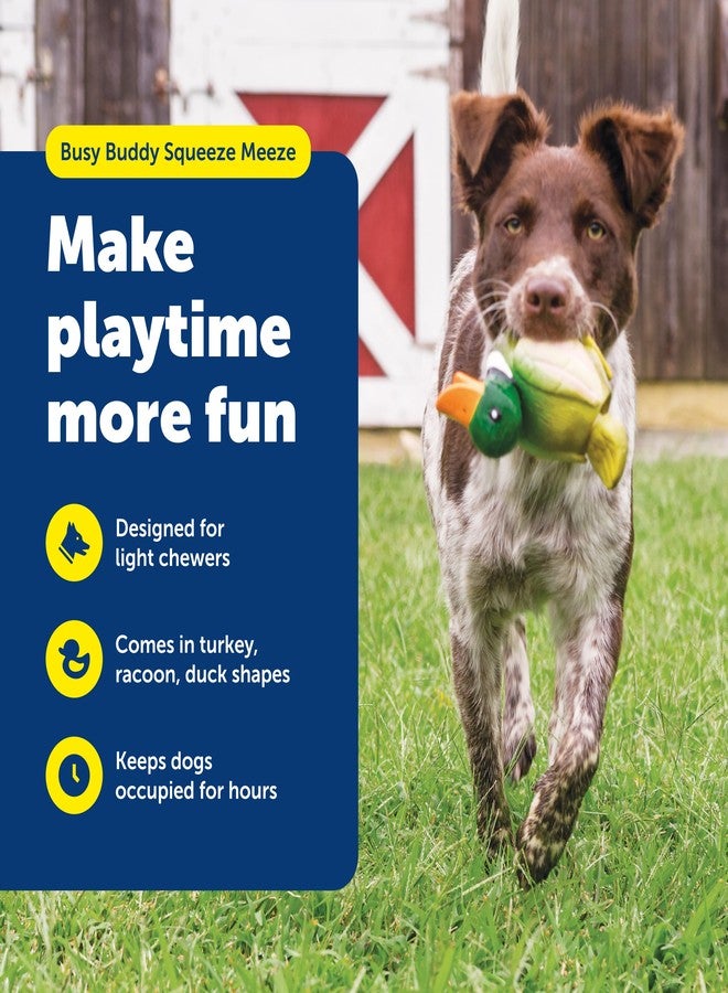 بيت سيف لعبة PetSafe Busy Buddy Latex Squeeze Meeze Raccoon، لعبة ضغط ممتعة للكلاب مع صفارة - بطة - Image 2